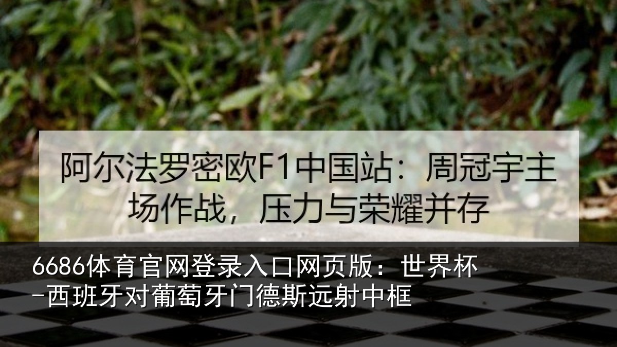 6686体育官网登录入口网页版：世界杯-西班牙对葡萄牙门德斯远射中框